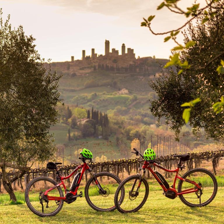 Jízda na kole v ubytování Agriturismo Il Segreto di Pietrafitta nebo okolí