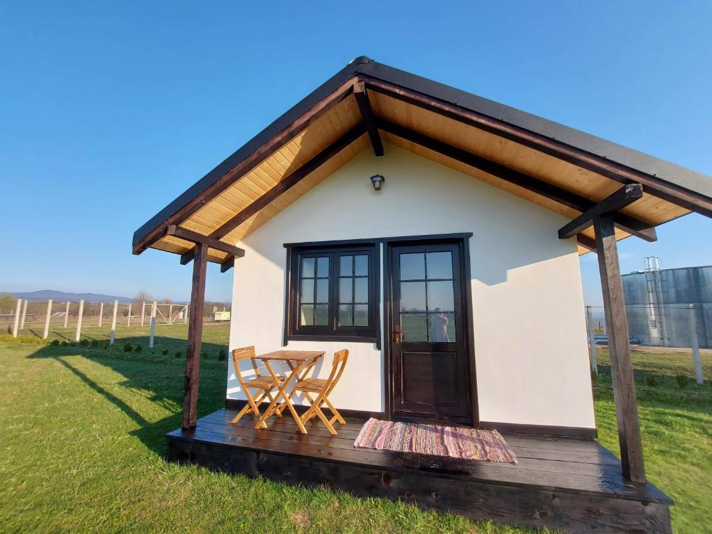 een tiny house in een veld met een tafel en stoelen bij Roza Vânturilor in Socea