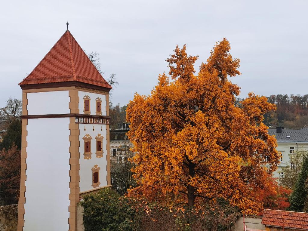 Příroda nedaleko hotelu