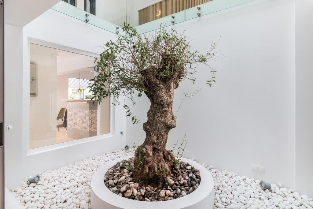 Linda Boutique Hotel - Resim 17