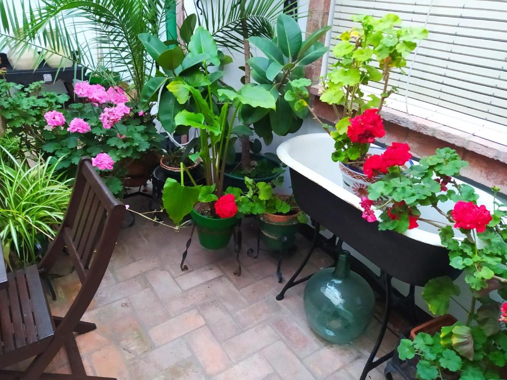Zahrada ubytování Casa Museo Jerez Centro