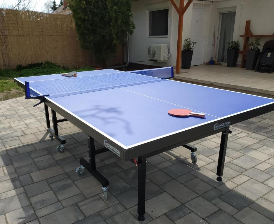 Tenis stołowy w obiekcie Elizabeth Vendégház Balatonfűzfőn a Strandnál lub pobliżu