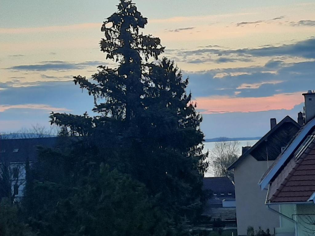 Przyroda w pobliżu tego apartamentu