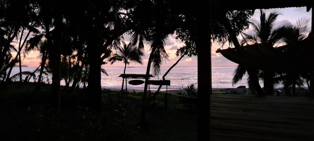 a hammock on the beach with a view of the ocean at Life for Life Hostel Drake Bay Home of Sea Turtle Marine Conservation Project Osa Peninsula near San Josecito Beach in Drake
