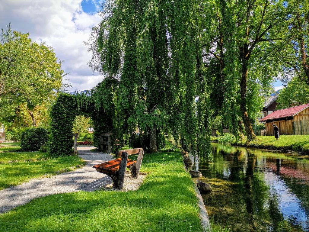 Příroda nedaleko apartmánu
