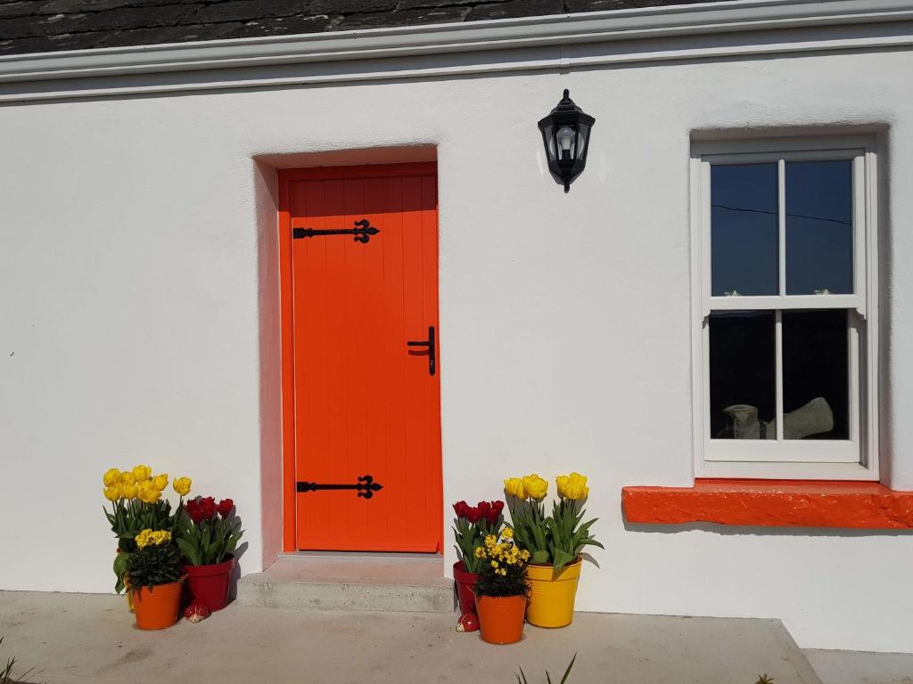 The Coral Cottage photo