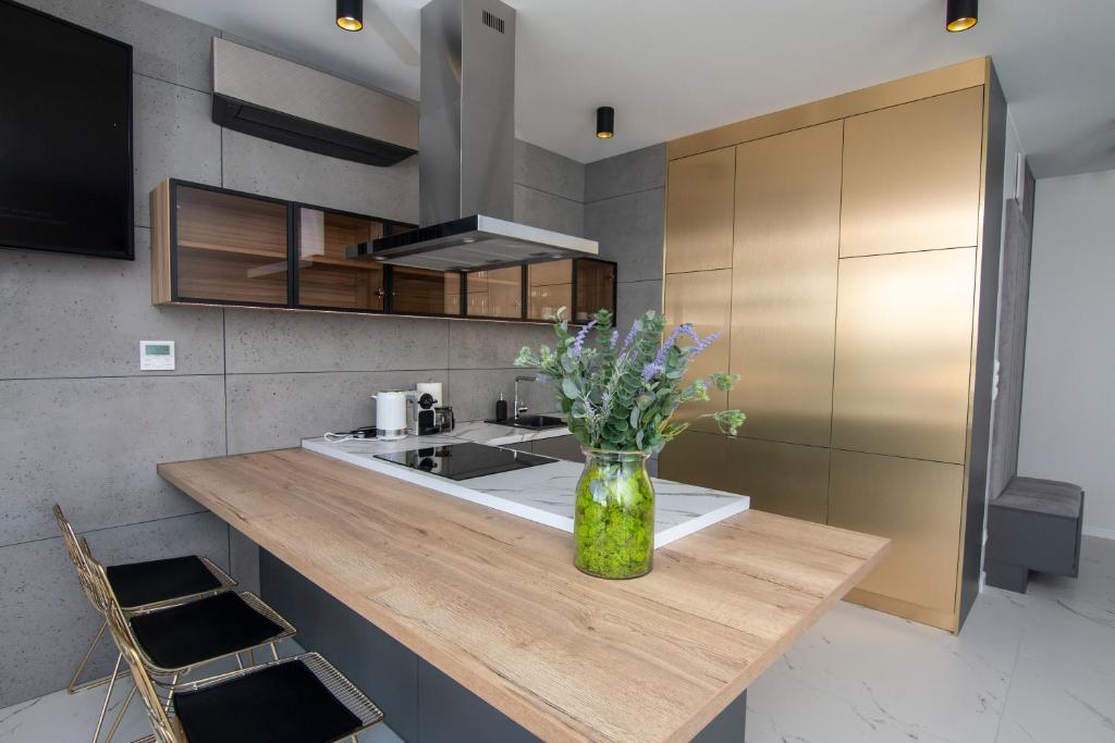 Kuchyň nebo kuchyňský kout v ubytování EL Apartments - Aries