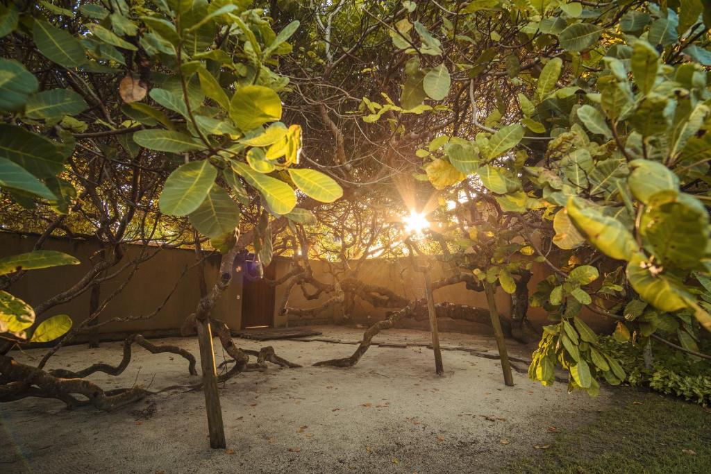  Casa Cajueiro - O endereço do paraíso na Bahia