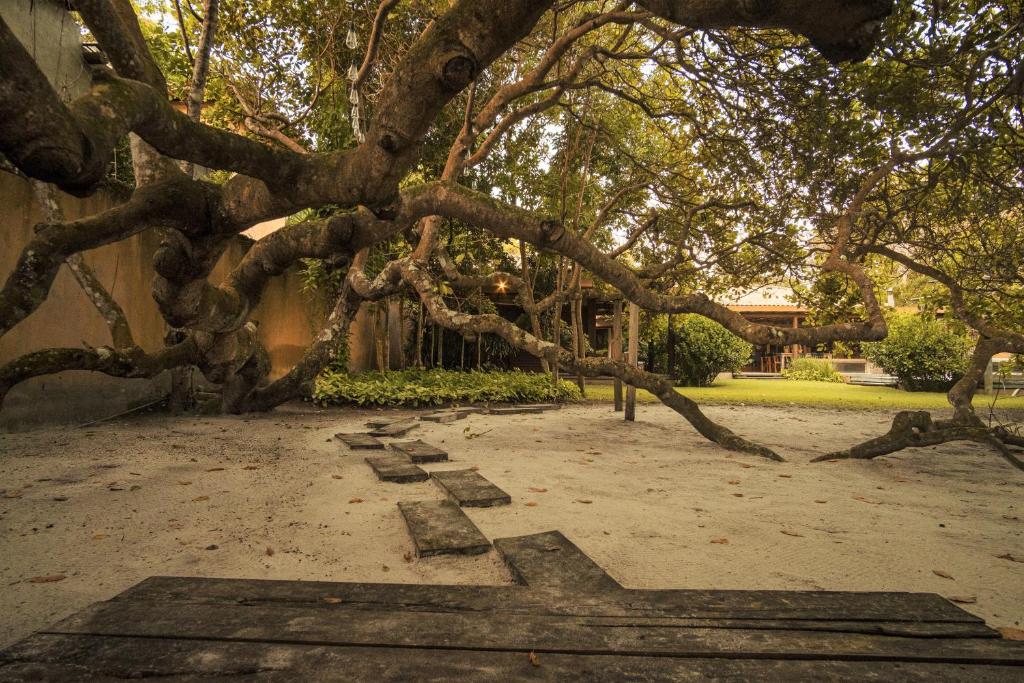  Casa Cajueiro - O endereço do paraíso na Bahia