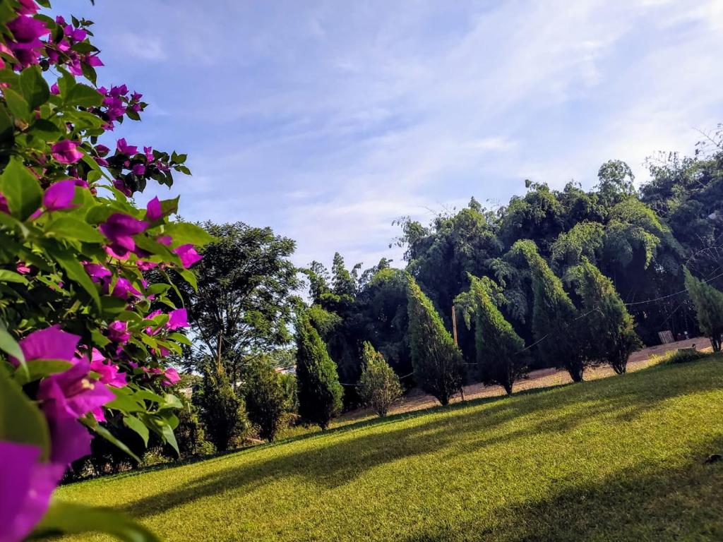  Pousada Natureza Foz