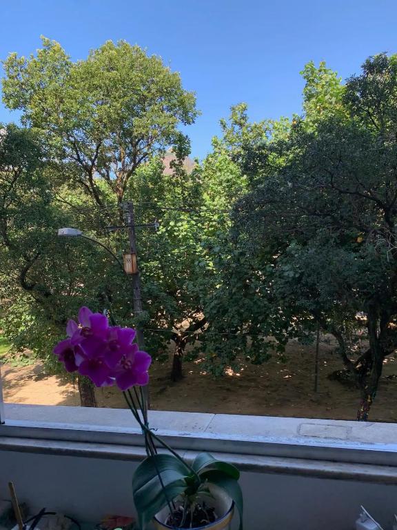  Apartmento Super Charmoso no Leblon