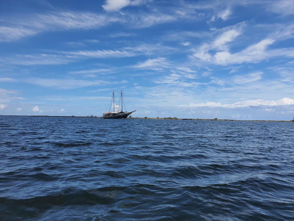  Paraíso SA