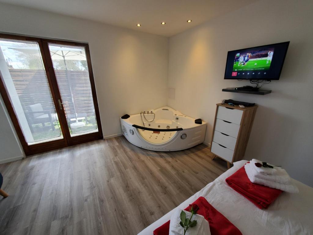 een kamer met een bad, een tv en een bed bij LE PIED A TERRE in La Châtre