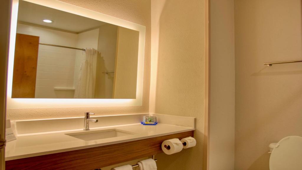 Holiday Inn Express Hotel & Suites Byram by IHG - Habitación Estándar King