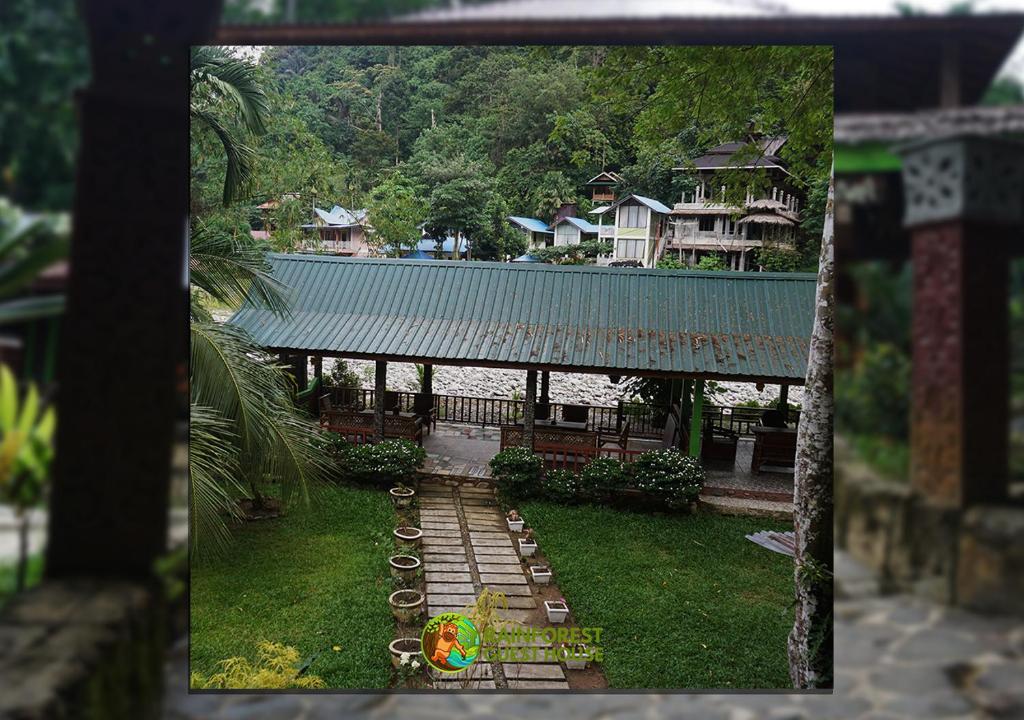 Un jardín fuera de Rain Forest Guest House and Jungle Trekking