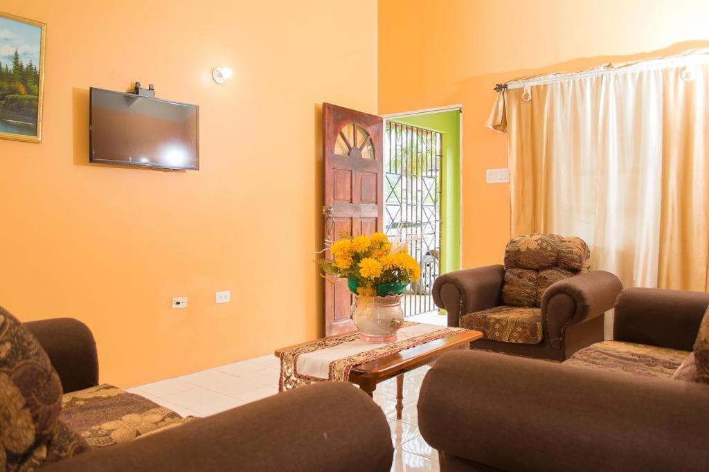 a living room with a couch and chairs and a tv at Perfect vacation villa in Montego Bay