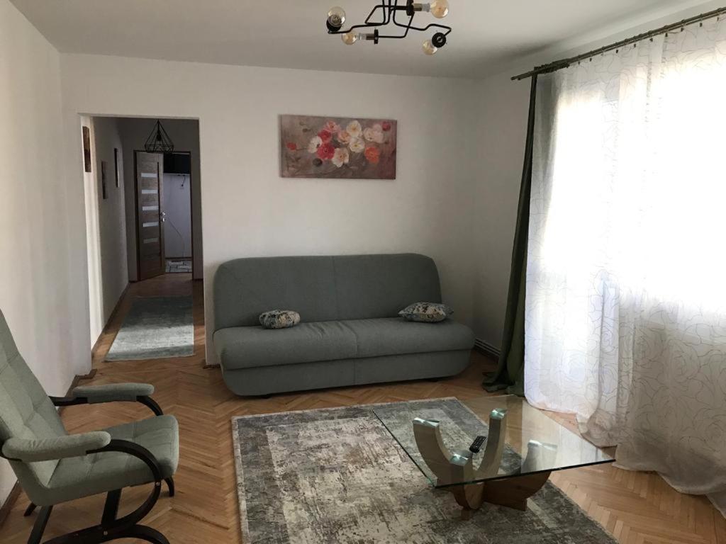a living room with a couch and a chair at Apartament Colina in Cluj-Napoca