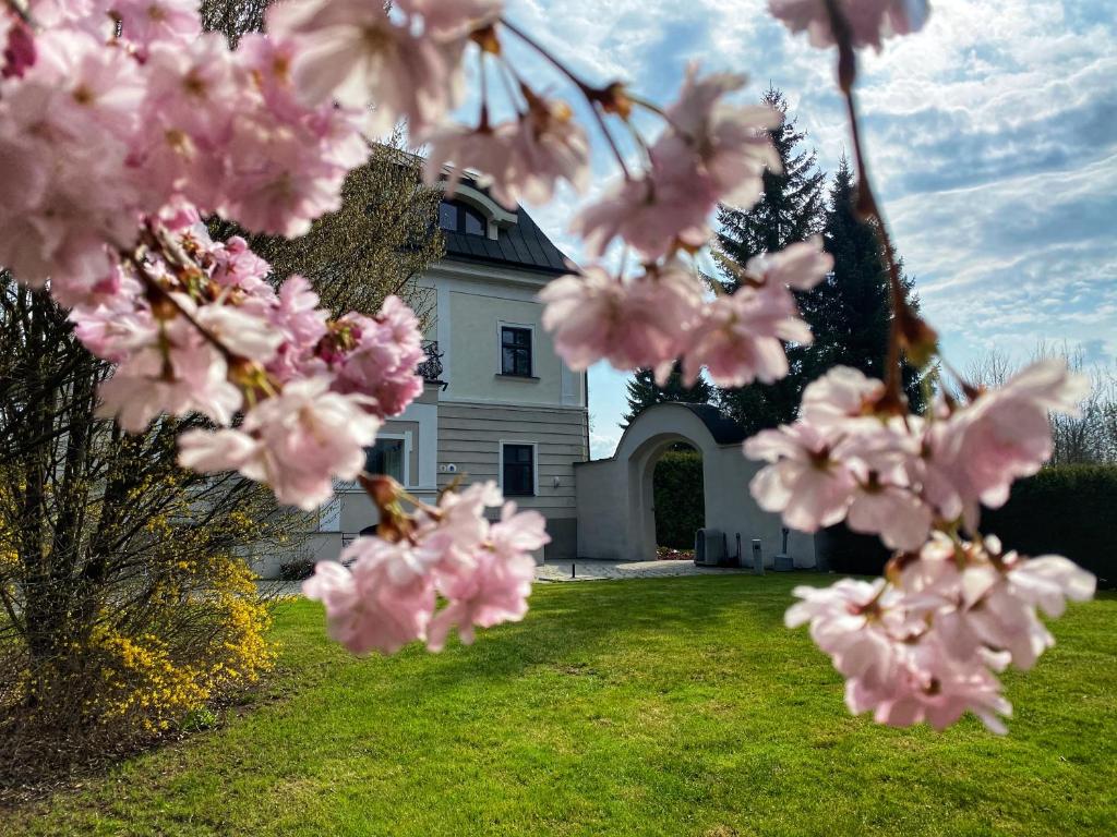 Vonkajšia záhrada v ubytovaní Hotel Villa Nečas Žilina