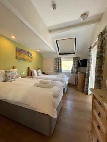 Tynycornel Hotel - Habitación Gemela Con Vista Al Lago