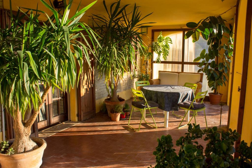 Vonkajšia záhrada v ubytovaní B&B Salvarosa