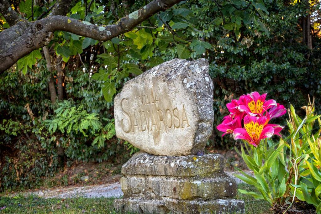 Vonkajšia záhrada v ubytovaní B&B Salvarosa