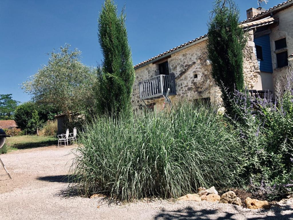 a garden with tall grass in front of a building at Le Gîte de La Maison des Chats in Saint-Amans-du-Pech
