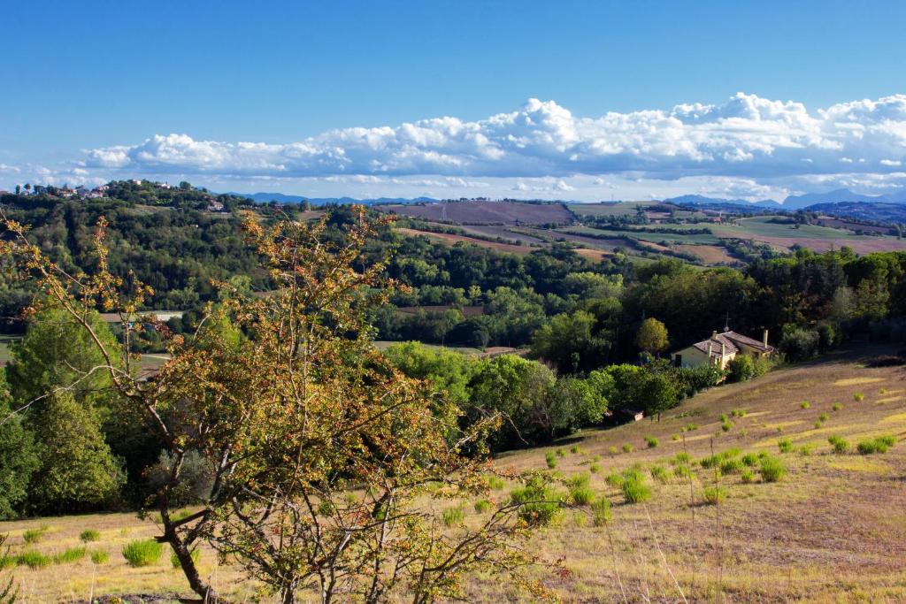 Príroda v okolí of the bed and breakfast