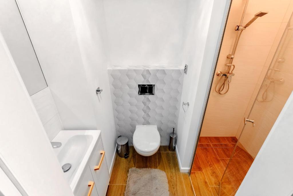 Apartamenty Saskie - 10