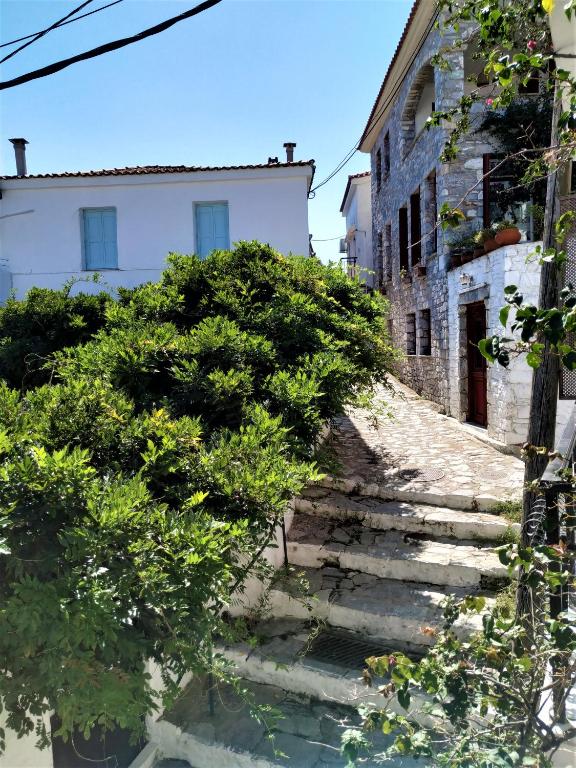 Fotografia z galérie ubytovania Argo Pension v destinácii Skiathos Town
