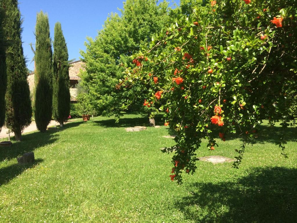 Zahrada ubytování Relais Della Rovere
