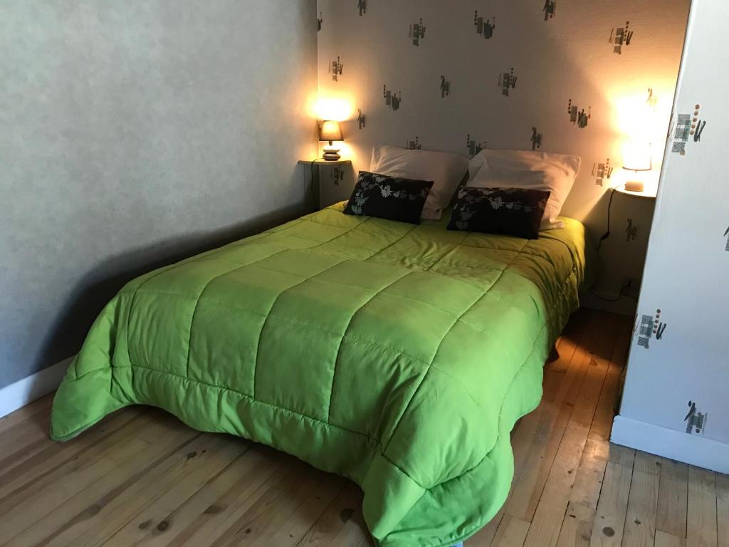 ein Schlafzimmer mit einem grünen Bett mit zwei Kissen in der Unterkunft gite chez Régine in Marcenat