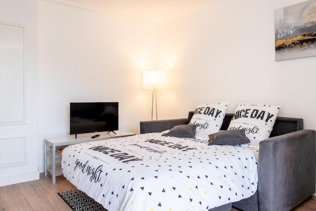 um quarto com uma cama e uma televisão em Résidence Le Marly em Annemasse