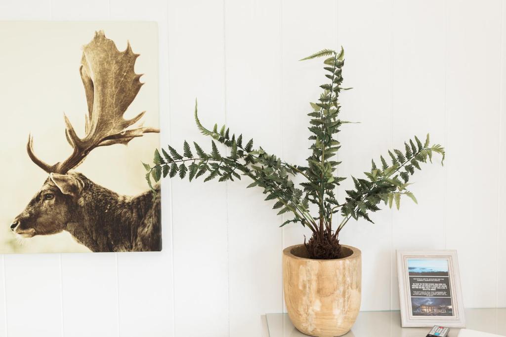 Sea View Snugs at Laggan - One-Bedroom Chalet