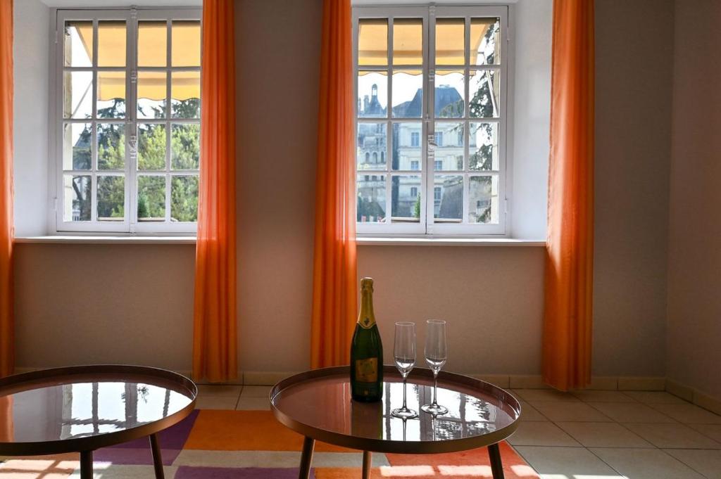 Appartement l Orangerie du Château Blois-Belle vue