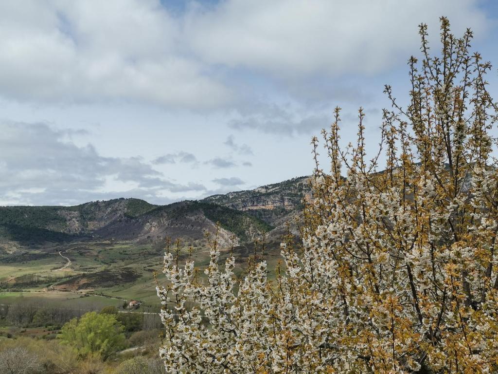 Príroda v okolí apartmánu