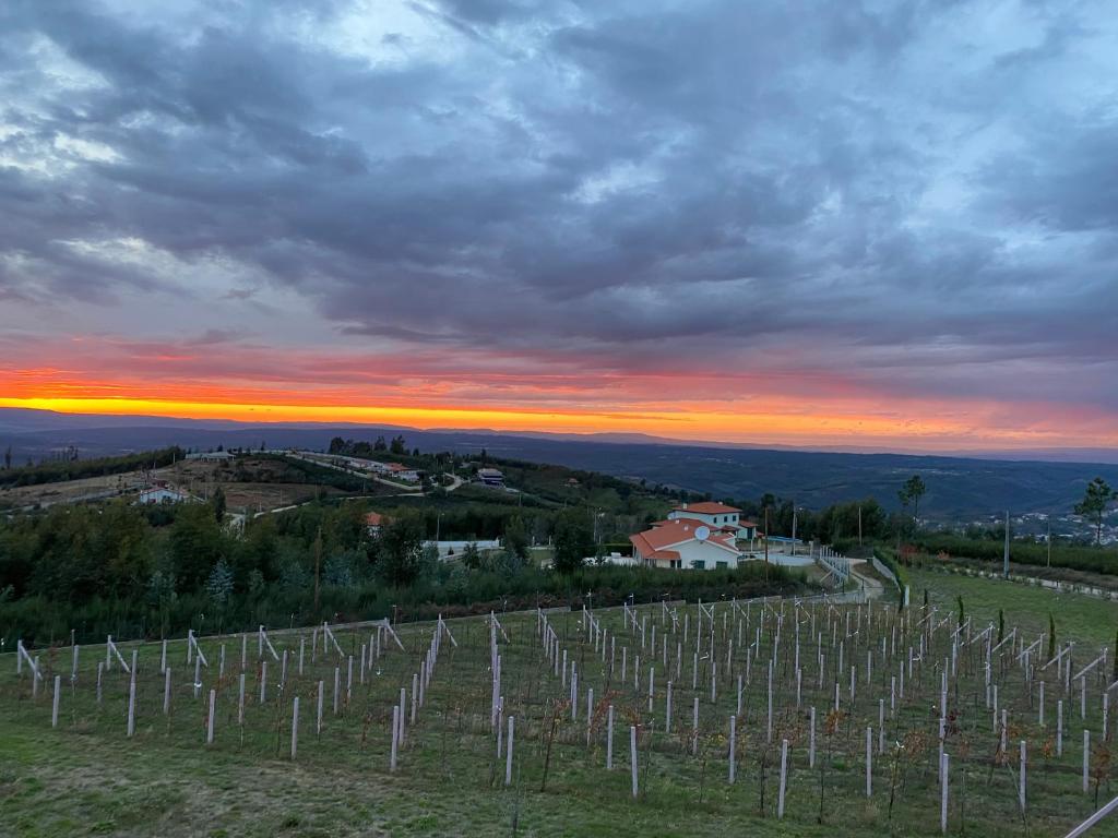 a view of a vineyard at sunset at CDR moderne luxe en spectaculair uitzicht in Vila Cova de Alva