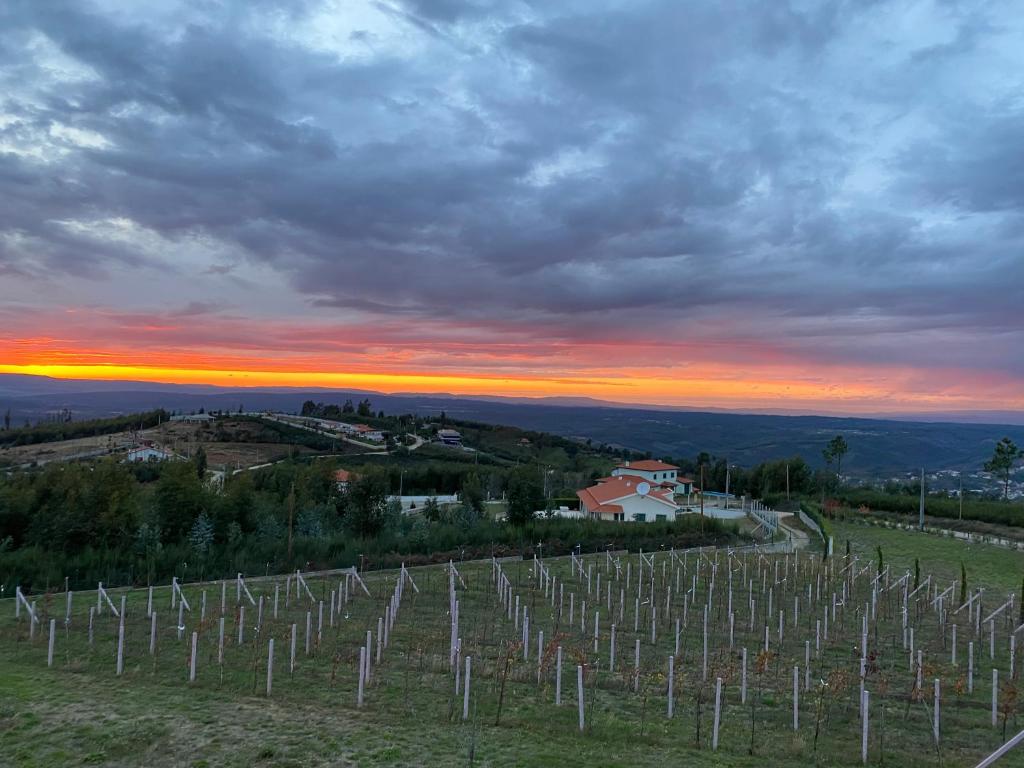 vistas a un viñedo al atardecer en CDR moderne luxe en spectaculair uitzicht, en Vila Cova de Alva