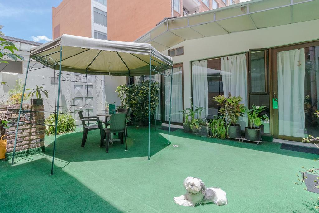 Zahrada ubytování Hotel Calle 112