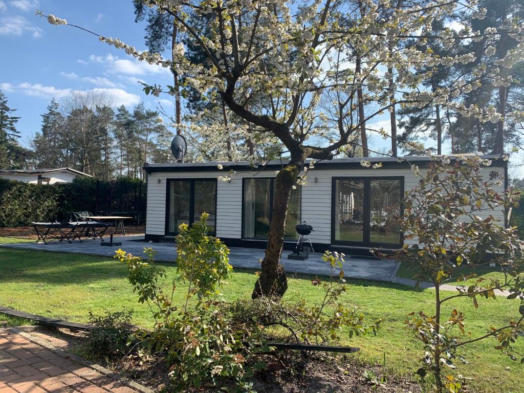 uma pequena casa com uma árvore no quintal em Chalet Stijn op de Schatberg em Sevenum