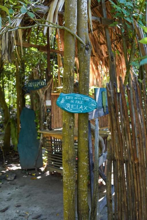 Zahrada ubytování La Aldea Hostel, Camping y Hamacas
