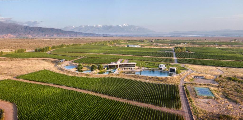 una vista aérea de un viñedo con una casa en un campo en Casa de Uco Vineyards and Wine Resort en Los Árboles