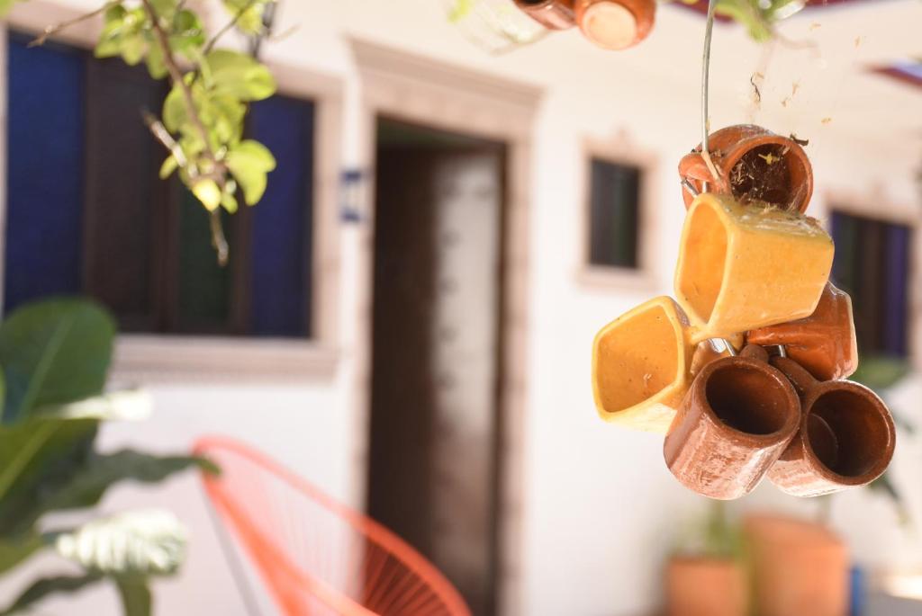 Fotografie z fotogalerie ubytování HOTEL CASA LIMON v destinaci Santa Rosa de Jáuregui