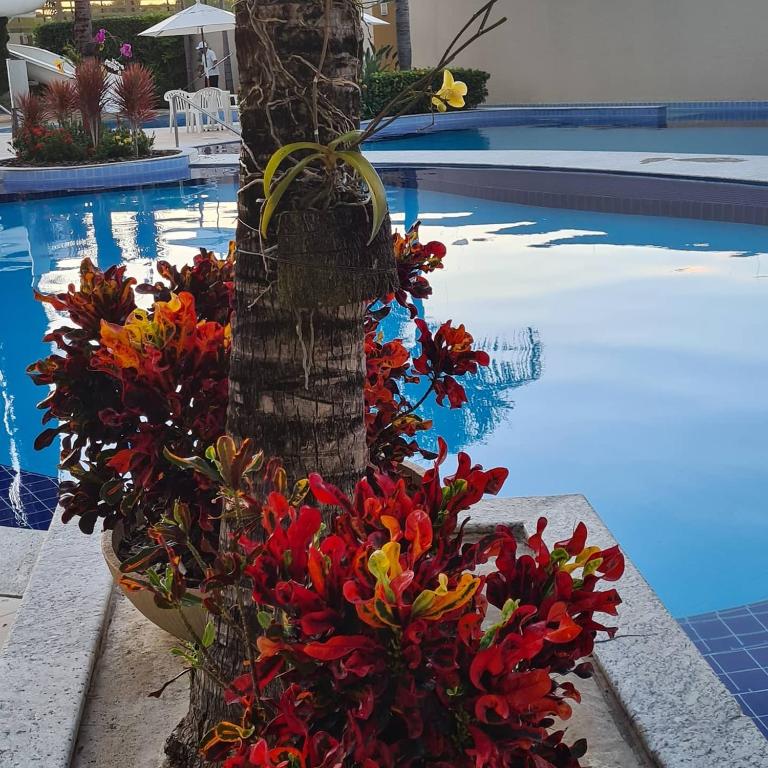  Residencial Prive das Thermas II (RPT2) Temporada Caldas Novas