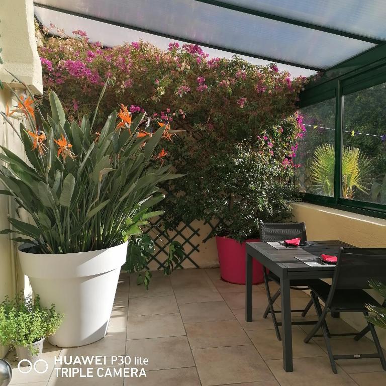 Le patio d'olivier - Tweepersoonskamer Met Uitzicht Op Het Zwembad