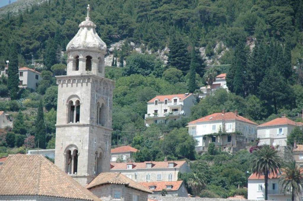 Príroda v okolí apartmánu