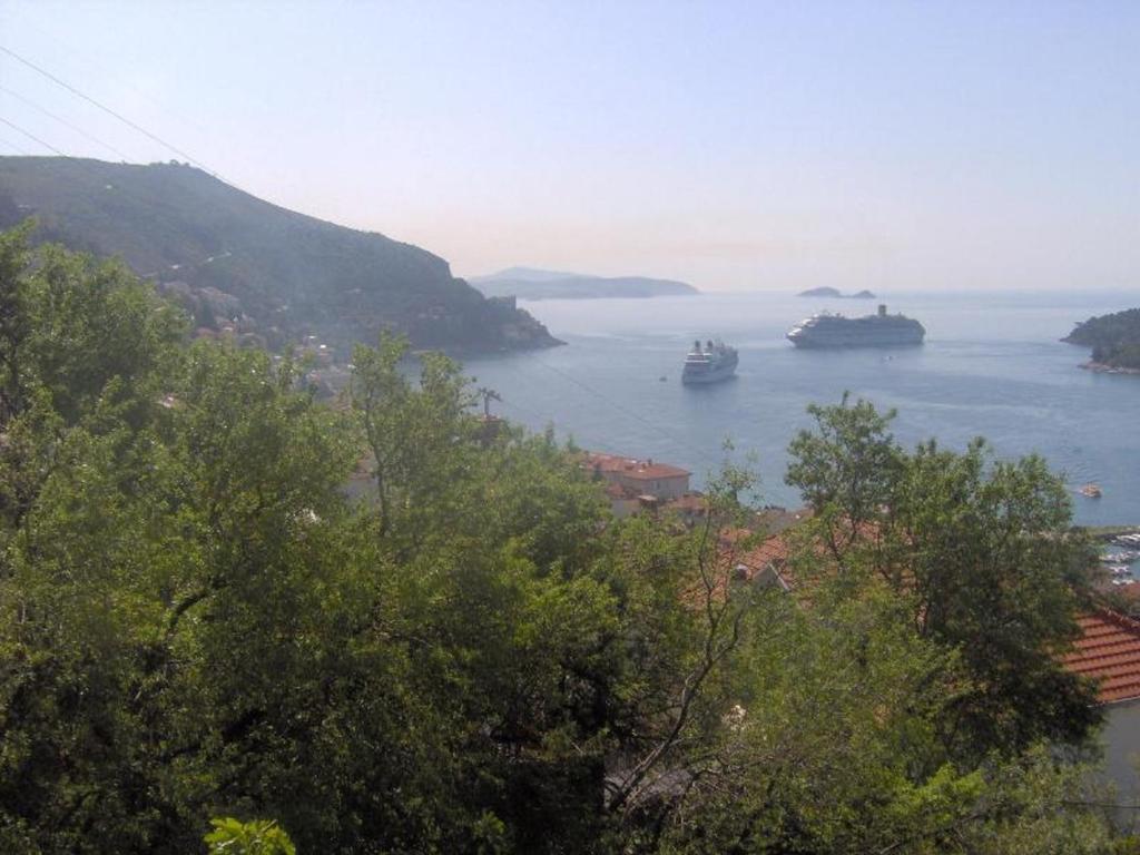 Príroda v okolí apartmánu