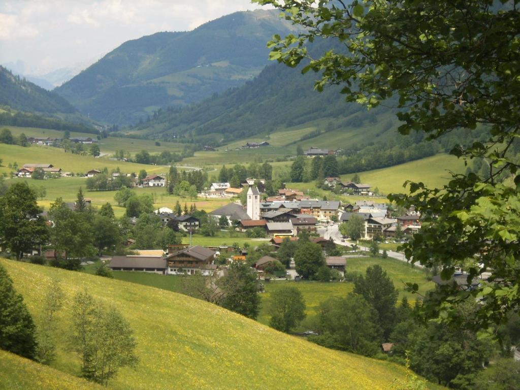 Príroda v okolí apartmánu
