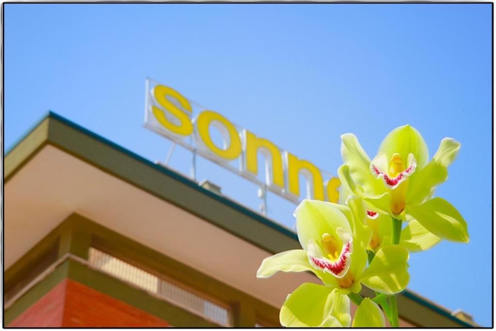 Fotografie z fotogalerie ubytování Hotel Sonne v Rimini