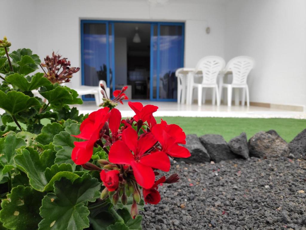 Zahrada ubytování Apartamento Ideal Costa Teguise