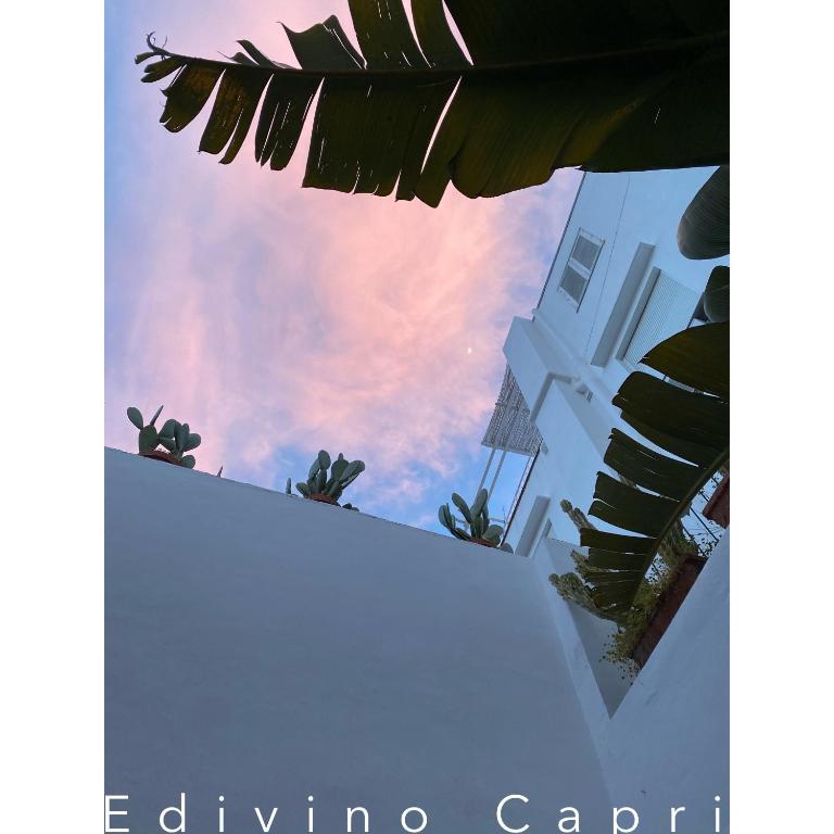Fotografie z fotogalerie ubytování Suites Edivino Design Capri v Capri